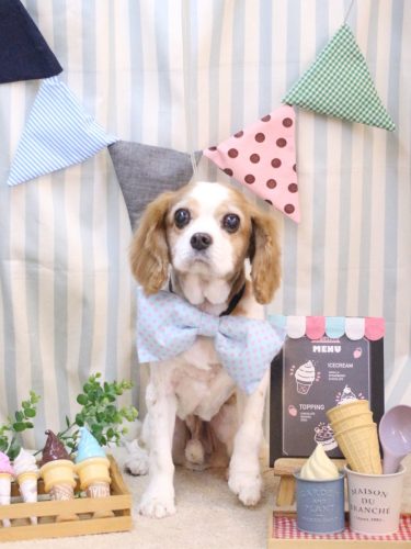 20250505マロくん